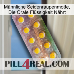 Männliche Seidenraupenmotte, Die Orale Flüssigkeit Nährt new11